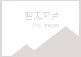 河间夏岚计算机有限公司